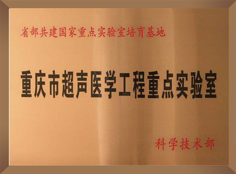重慶市超聲醫(yī)學(xué)重點(diǎn)實(shí)驗(yàn)室