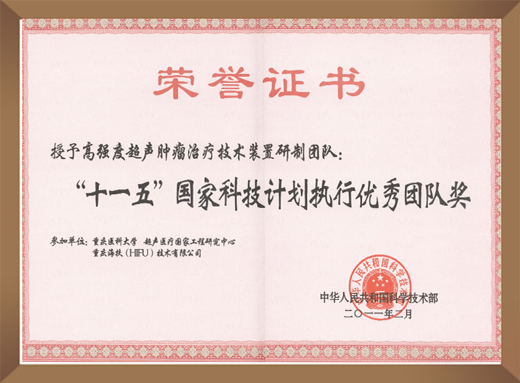 十一五國家科技計(jì)劃執(zhí)行優(yōu)秀團(tuán)隊(duì)獎(jiǎng)