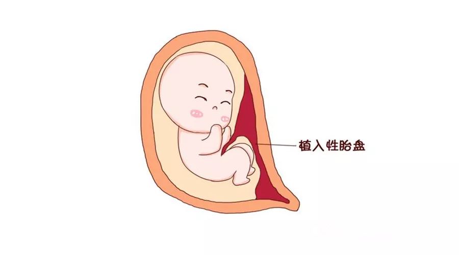 此外卵巢功能、激素代謝均受高級(jí)神經(jīng)中樞的控制調(diào)節(jié)
